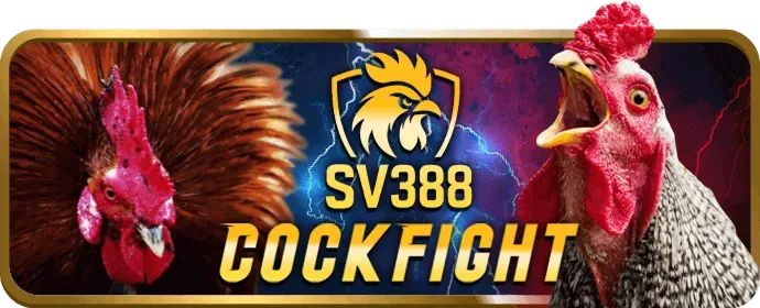Liên Hệ Hỗ Trợ zv99